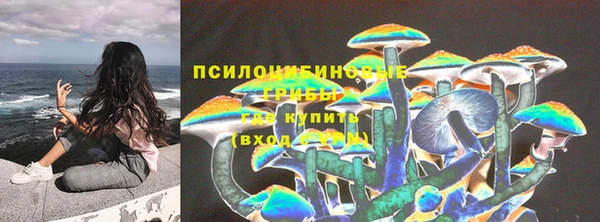 ALPHA-PVP Алексеевка
