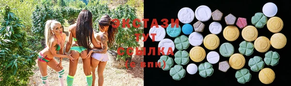 ECSTASY Алзамай
