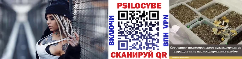 блэк спрут рабочий сайт  где можно купить наркотик  Кропоткин  Псилоцибиновые грибы GOLDEN TEACHER 