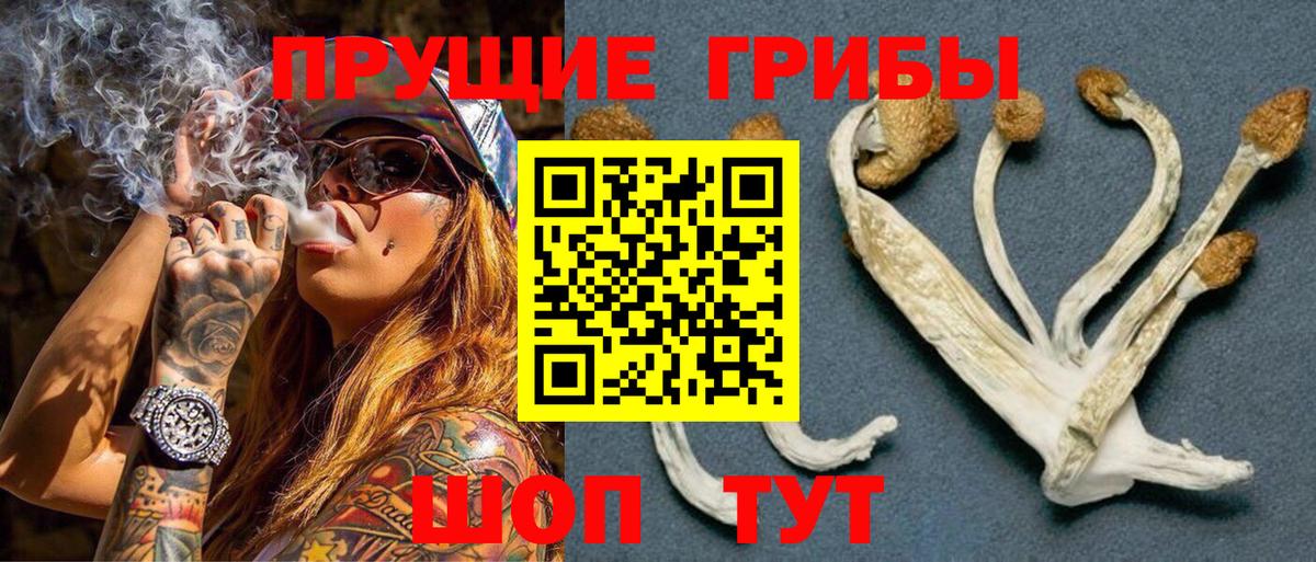 Галлюциногенные грибы Cubensis Кропоткин